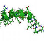 noropeptid y
